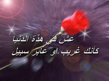 ��� ����� �� ����